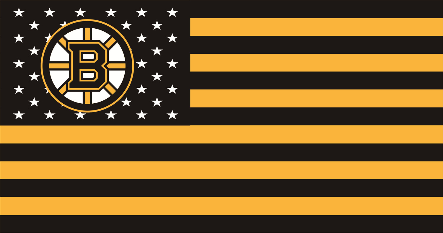 Boston Bruins Flags fabric transfer